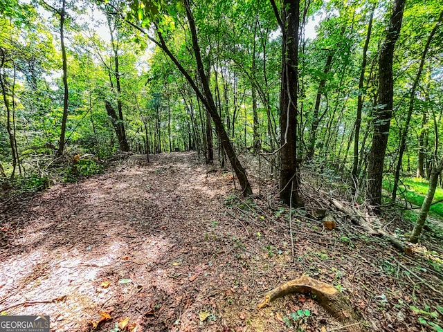 Listing photo 3 for 241ACRES Legion Rd, Ellijay GA 30540