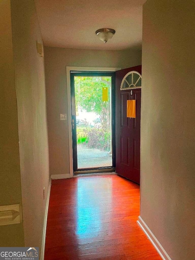 foyer with light hardwood / wood-style flooring