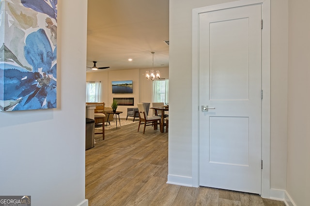 hallway with a healthy amount of sunlight, an inviting chandelier, and light hardwood / wood-style flooring