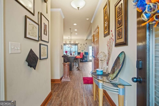 corridor featuring ornamental molding and dark wood-type flooring