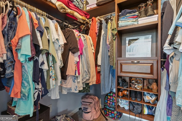 view of walk in closet