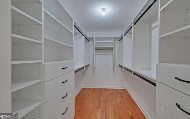 spacious closet with light wood-type flooring