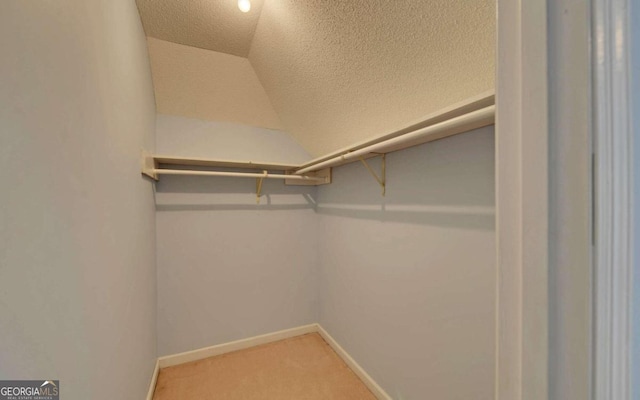 spacious closet featuring lofted ceiling and carpet flooring