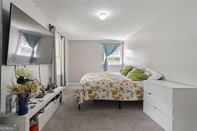 carpeted bedroom featuring a barn door