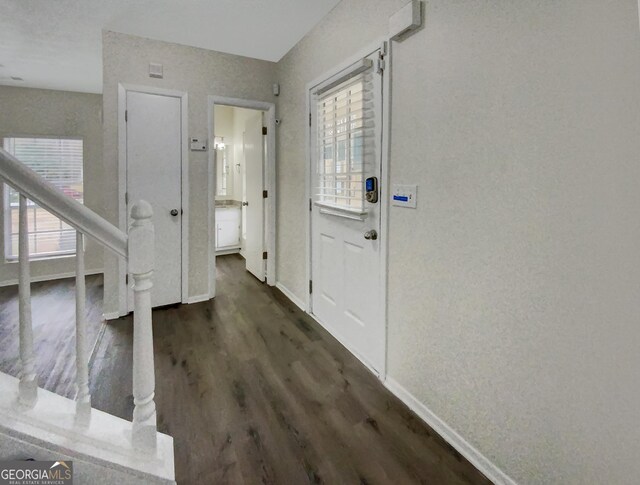 foyer entrance with dark hardwood / wood-style flooring