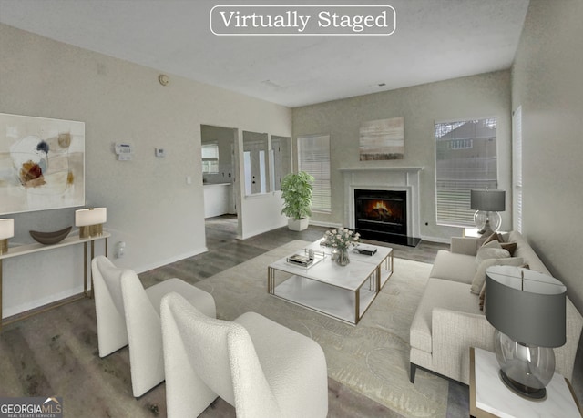 living room featuring hardwood / wood-style floors