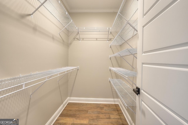 spacious closet with hardwood / wood-style floors