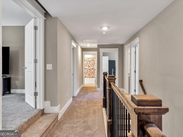 hallway with carpet flooring