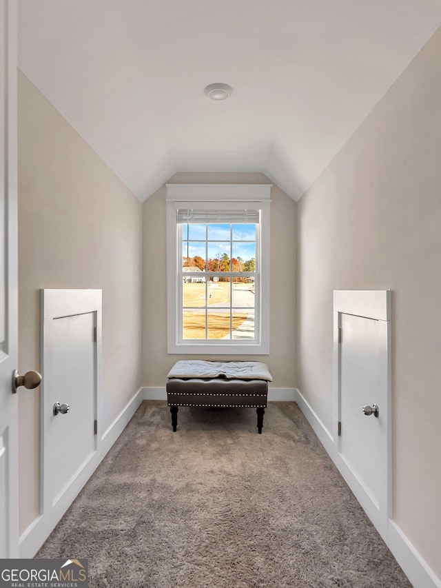 living area with carpet floors and vaulted ceiling