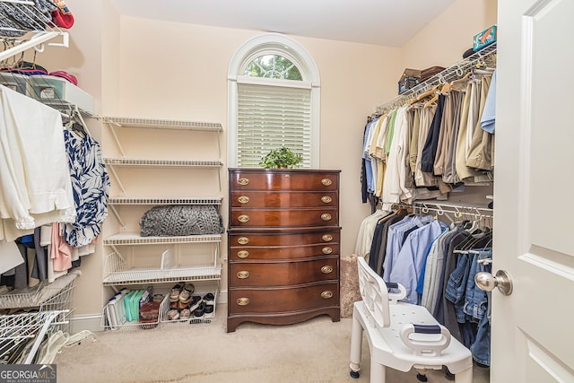 walk in closet featuring carpet