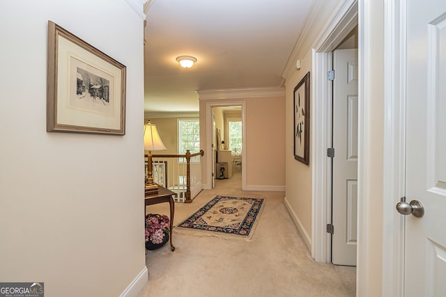 hallway featuring light carpet and crown molding