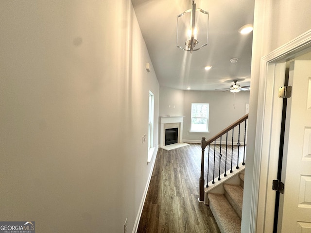 interior space featuring a fireplace, baseboards, a ceiling fan, and wood finished floors