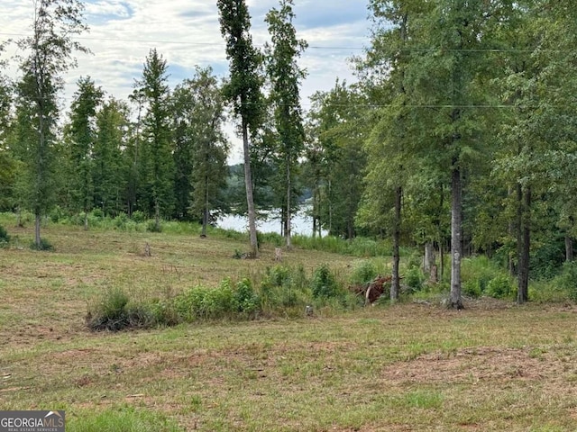 Listing photo 2 for LOT3A Humber Ferry Rd SW, Eatonton GA 31024