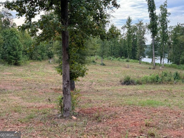 Listing photo 3 for LOT3A Humber Ferry Rd SW, Eatonton GA 31024