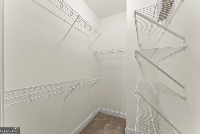 walk in closet featuring carpet flooring