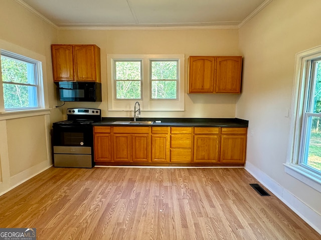 kitchen with light hardwood / wood-style flooring, a wealth of natural light, stainless steel range with electric stovetop, and sink