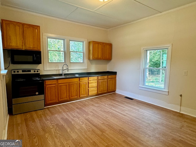 kitchen with light hardwood / wood-style flooring, stainless steel electric stove, a healthy amount of sunlight, and sink