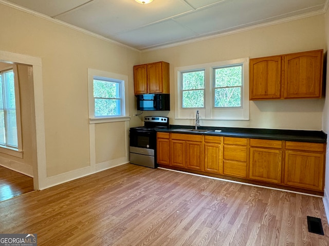 kitchen featuring light wood-type flooring, stainless steel range with electric cooktop, and a wealth of natural light