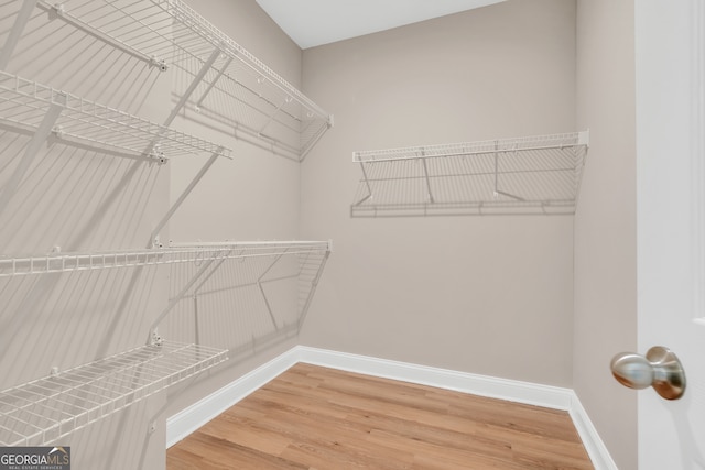 walk in closet with wood-type flooring