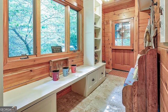 mudroom with wood walls and a wealth of natural light