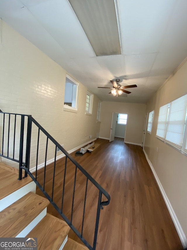 stairway featuring ceiling fan and hardwood / wood-style floors