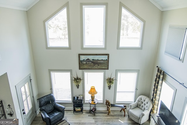 living area with hardwood / wood-style floors, a wealth of natural light, ornamental molding, and a high ceiling