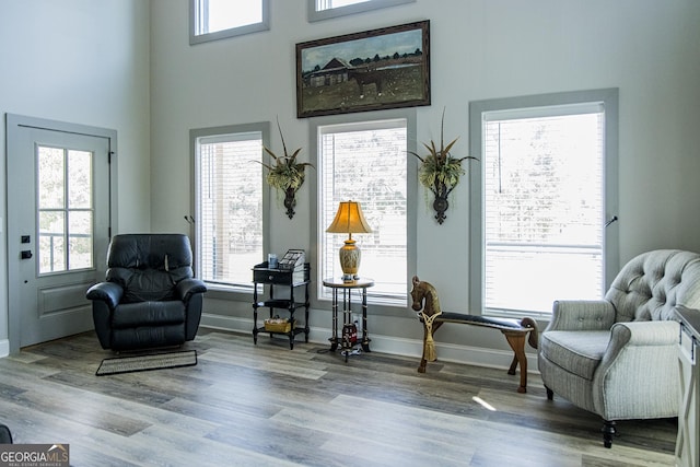 living area featuring plenty of natural light, a towering ceiling, and hardwood / wood-style flooring