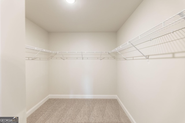 spacious closet featuring carpet floors