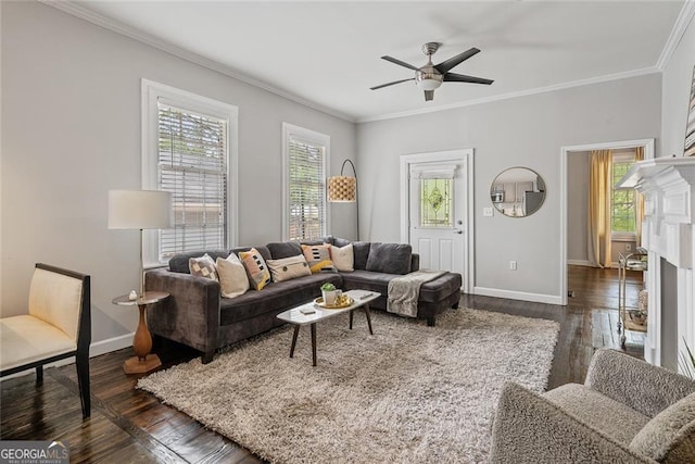 living room featuring ceiling fan, crown molding, and dark wood-type flooring