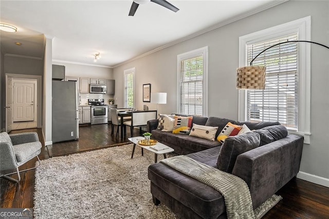 living room featuring dark hardwood / wood-style floors, ceiling fan, and ornamental molding