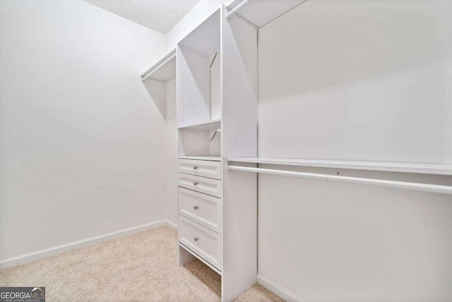 walk in closet with light colored carpet