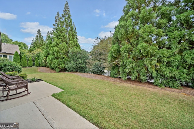 view of yard with a patio