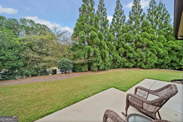 view of yard featuring a patio