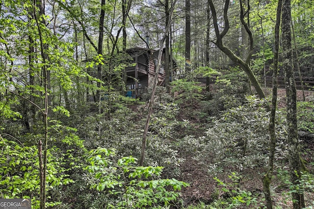 view of local wilderness with a wooded view