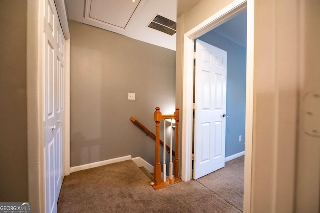 interior space featuring carpet floors