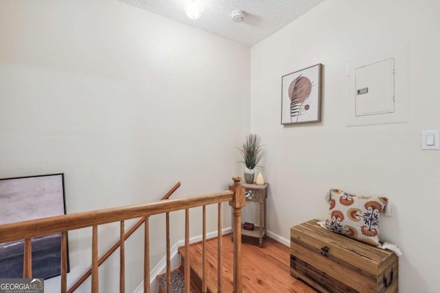 hallway with wood-type flooring, a textured ceiling, and electric panel