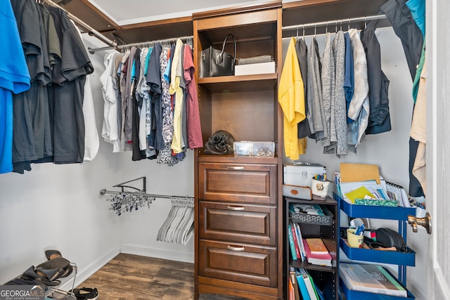 spacious closet featuring dark wood-type flooring