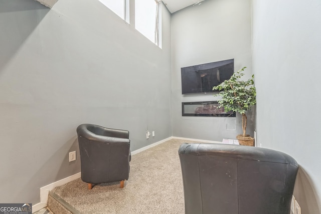 sitting room featuring carpet flooring