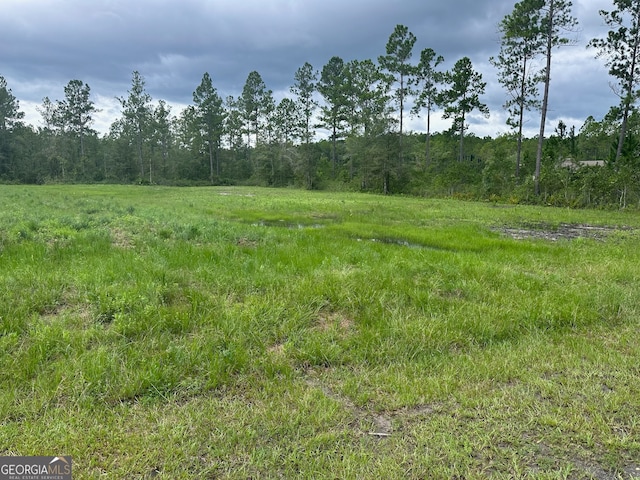 Listing photo 2 for LOT6 O P Ln, White Oak GA 31568