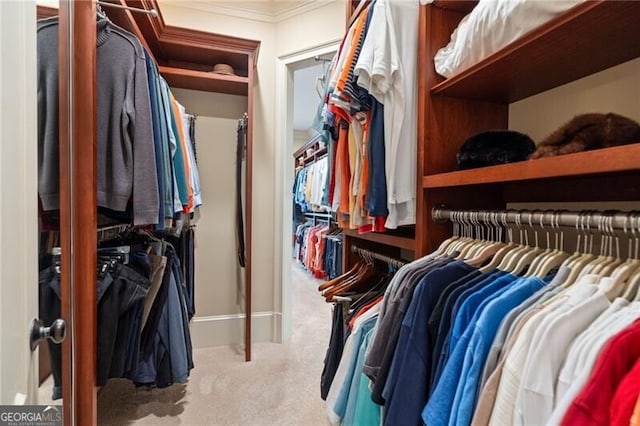 walk in closet featuring carpet flooring