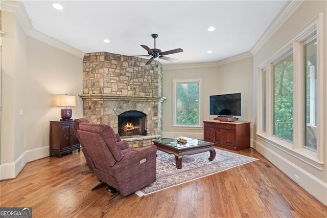 living room with a fireplace, light hardwood / wood-style floors, and a wealth of natural light