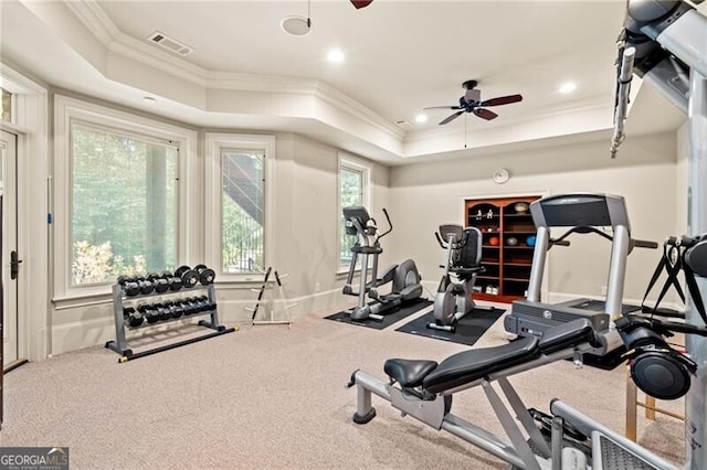 exercise room with ceiling fan, carpet flooring, a tray ceiling, and ornamental molding