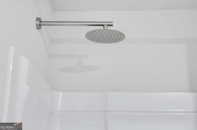 interior details featuring walk in shower