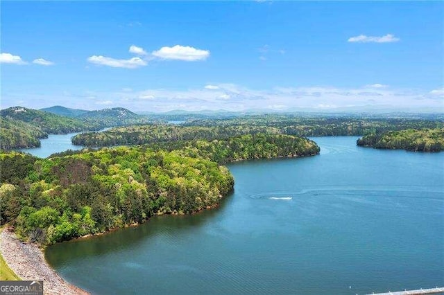 property view of water with a mountain view