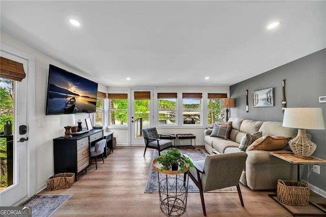 living room with wood-type flooring and a wealth of natural light