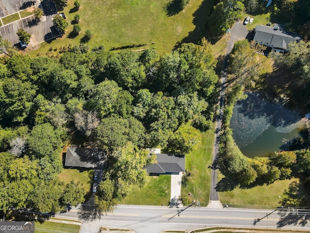 rear view of property with a yard