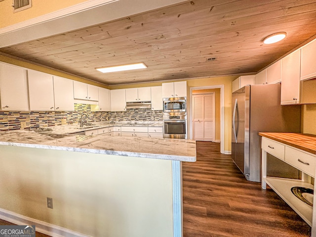 34 Sun Valley Cir Unit 8001, Sky Valley, GA 30537 - kitchen featuring stainless steel appliances, a sink, under cabinet range hood, wooden ceiling, and a peninsula