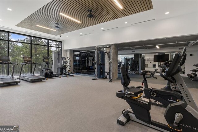 exercise room featuring carpet floors