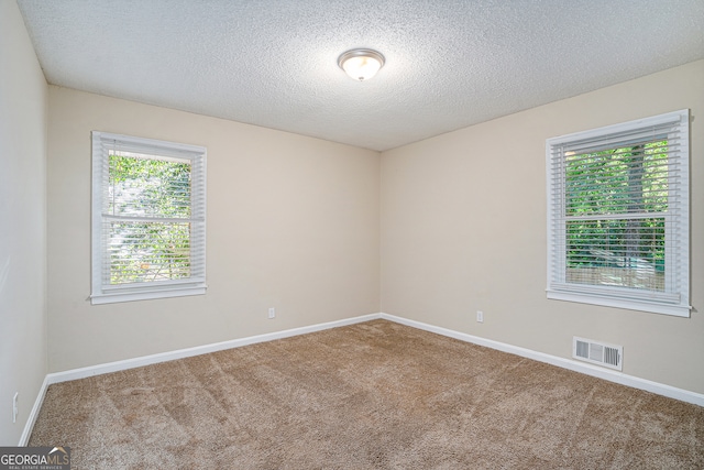 unfurnished room with a wealth of natural light, a textured ceiling, and carpet floors