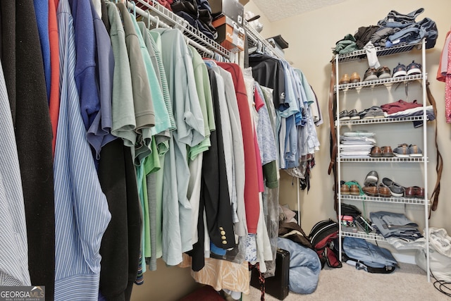 spacious closet featuring carpet flooring